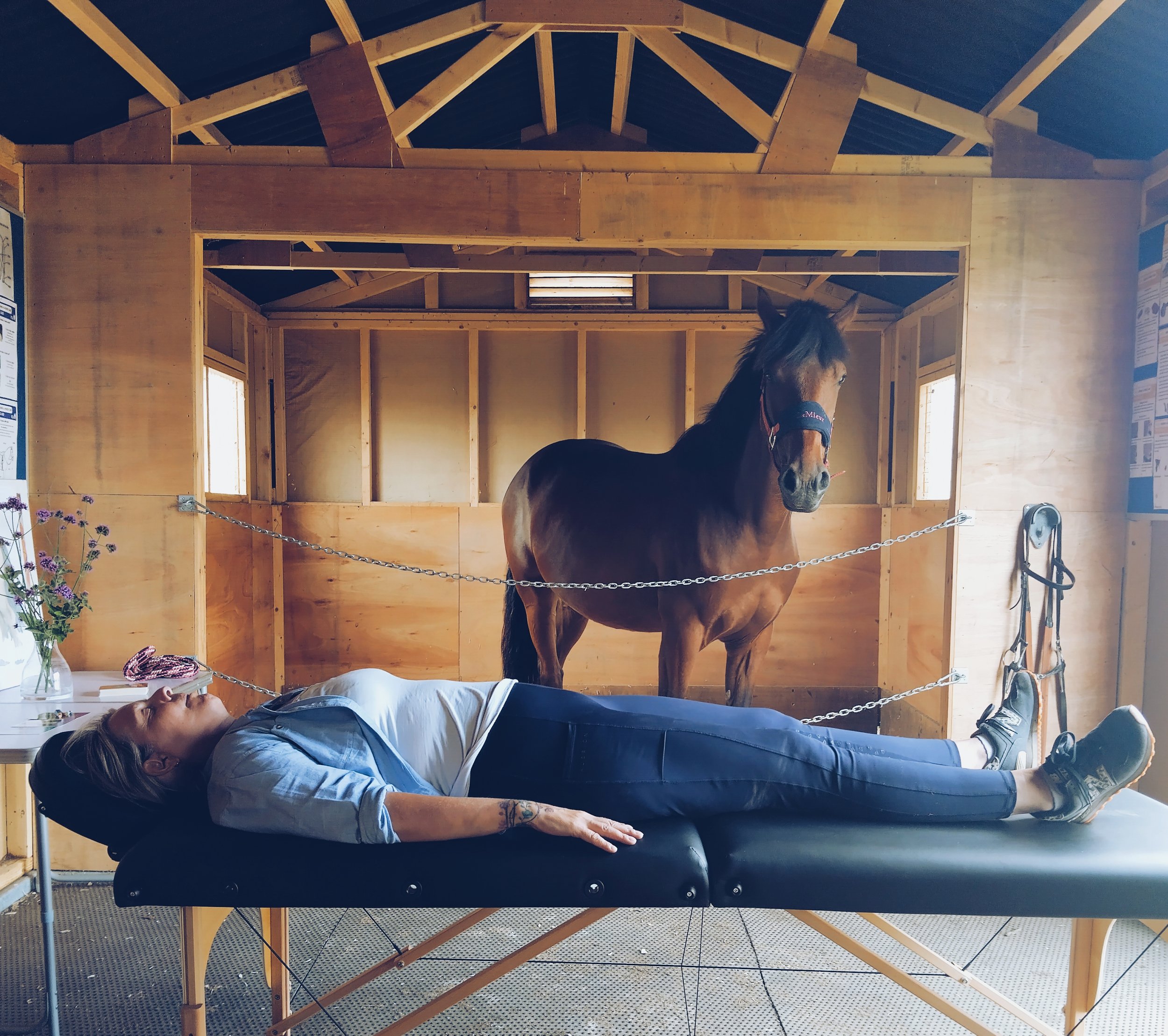 What Is Equine Assisted Reiki? A Gentle Session With Horses in Norfolk